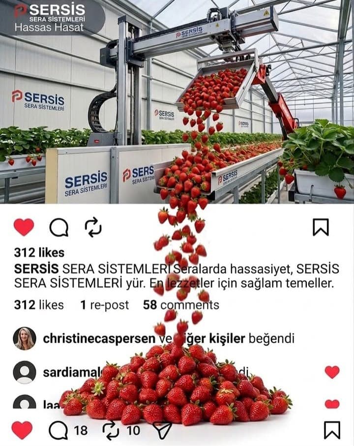 Sac köşk imalatı